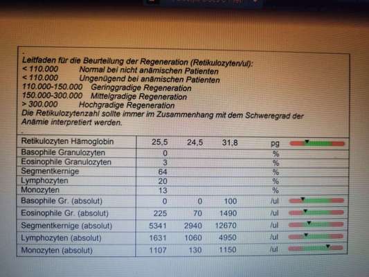 Pankreatitis und verdicke Darmschlingen, aber Medikamente schlagen nicht an-Beitrag-Bild