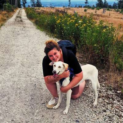 Hundetreffen-Spielen und Gassi gehen 🐾