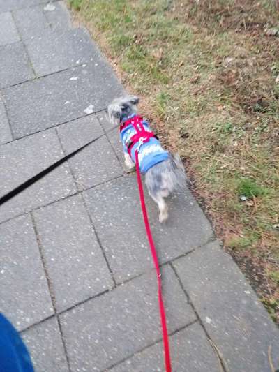 Pullis, Jacken, Hütte und alles sonstiges-Beitrag-Bild