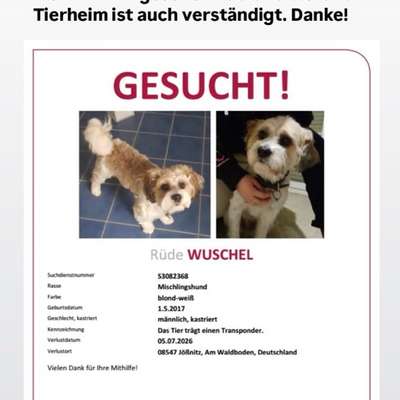 Suchmeldung-Wuschel-Bild
