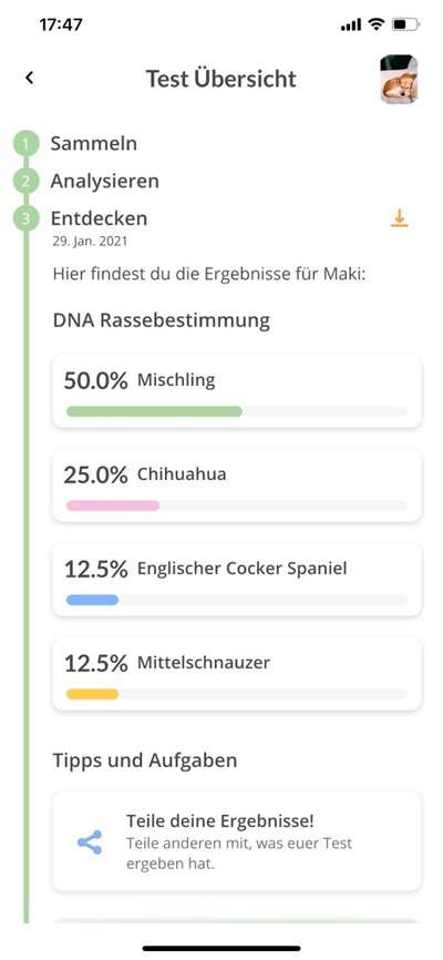 Rassetest-Beitrag-Bild