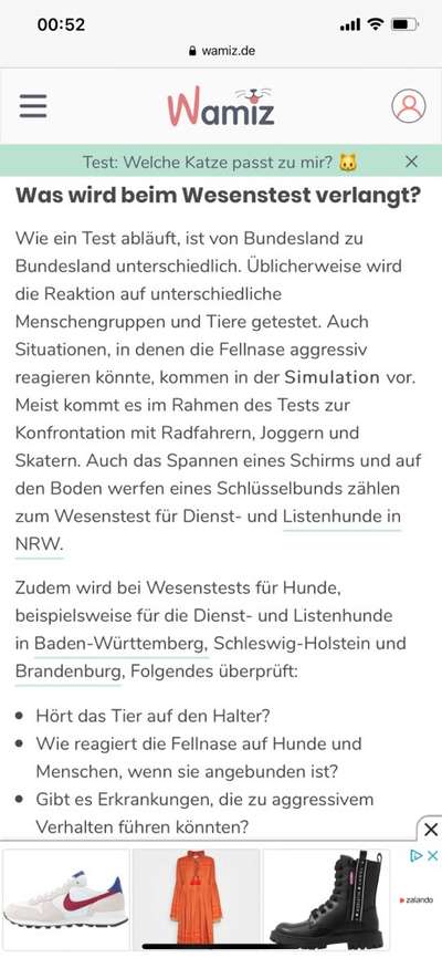 Wesenstest-Beitrag-Bild