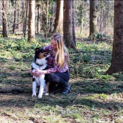 Hundetreffen-Sozial Walk-Profilbild