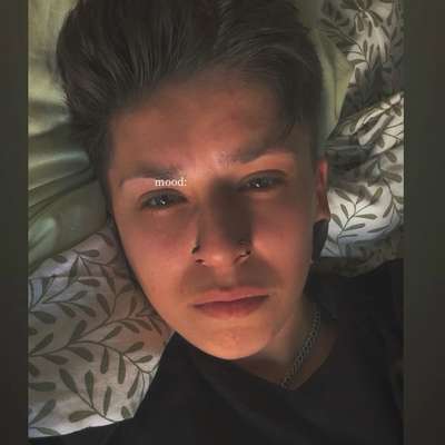 Hundetreffen-Gassi gehen