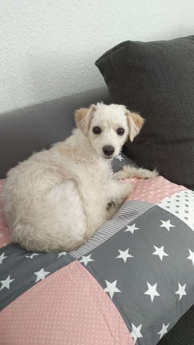 Doppelgänger gesucht !-Beitrag-Bild