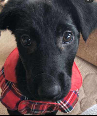 Erstes Bild-Beitrag-Bild