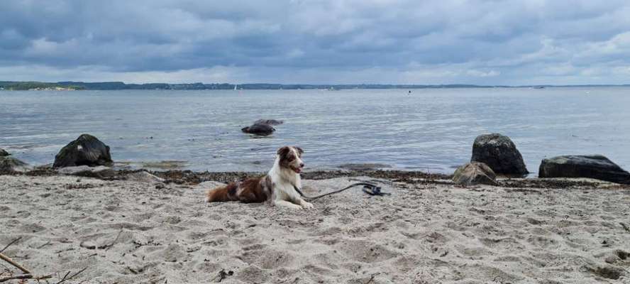 Fotowettbewerb Natur-Beitrag-Bild