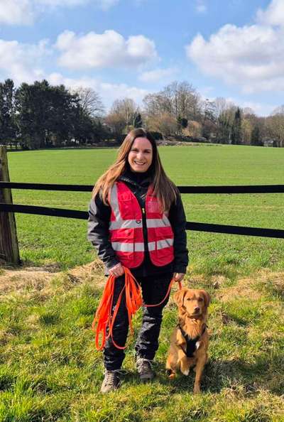 aktuelles Foto Gruppe Nova Scotia Duck Tolling Retriever