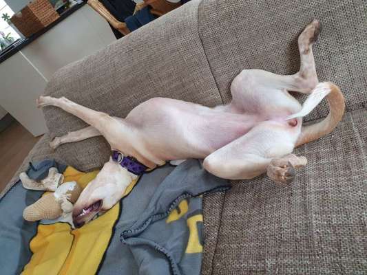 Fotochallenge Nr.65-Beitrag-Bild