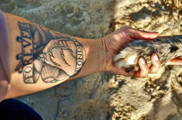 Erinnerungs Tattoos-Beitrag-Bild