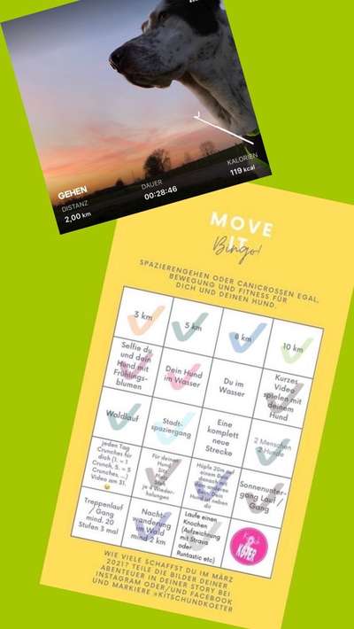 Move it Bingo-Beitrag-Bild