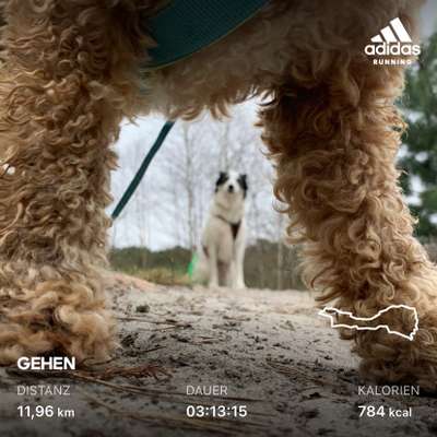 Move it Bingo-Beitrag-Bild