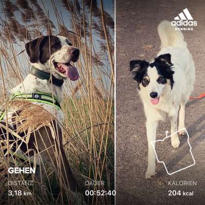 Move it Bingo-Beitrag-Bild