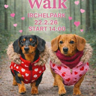 Hundetreffen-Sausage Walk-Bild