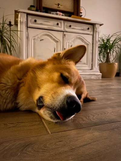 Die unbequemsten und lustigsten Schlafpositionen-Beitrag-Bild