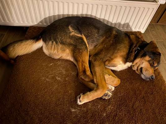 Die unbequemsten und lustigsten Schlafpositionen-Beitrag-Bild