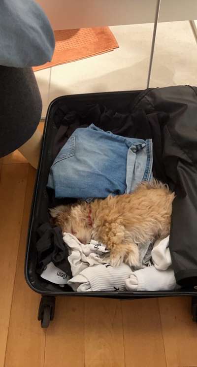 Fotochallenge Nr.105  Glücksmomente-Beitrag-Bild