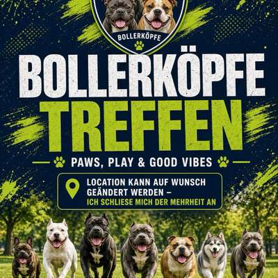 Hundetreffen-🐶🔥 BULLY MEET-UP! 🔥🐶-Bild
