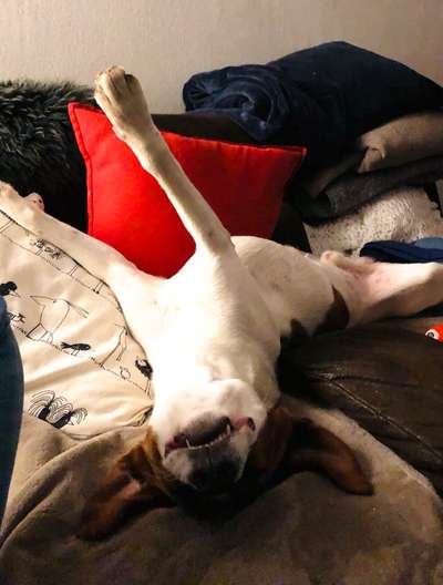 Fotochallenge Nr. 47 - Zeigt die Zähne-Beitrag-Bild