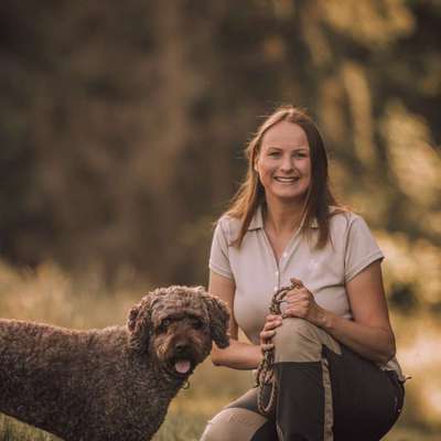 Hundeschulen-Hundetraining Pfotenglück-Bild