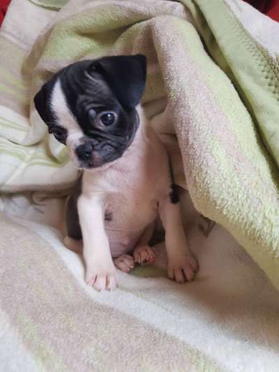 Sie werden so schnell erwachsen ...-Beitrag-Bild