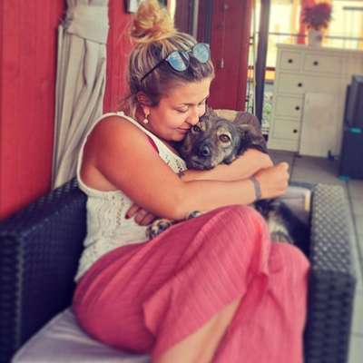 Hundetreffen-Sozialisierung, gemeinsame Spaziergänge und Austausch