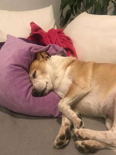 Schlafzeit!💖-Beitrag-Bild