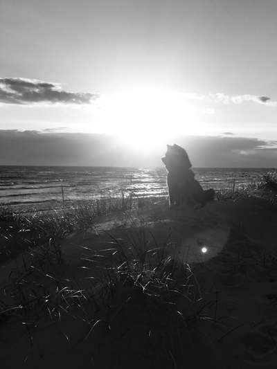 Foto-Challenge 76: Foto in Schwarz-Weiss-Beitrag-Bild