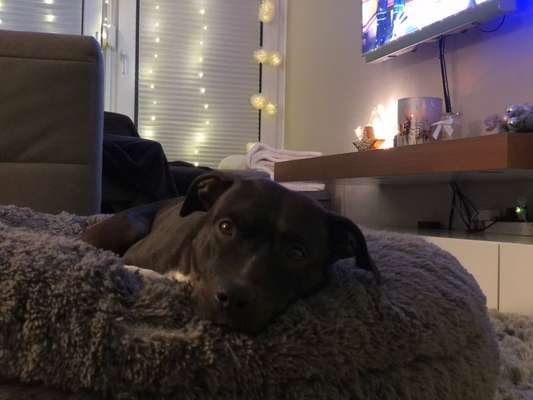 Erfahrung mit Wolkenbett-Beitrag-Bild