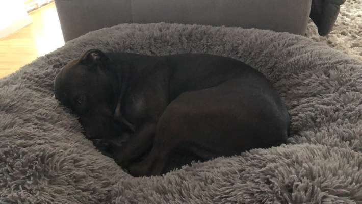 Erfahrung mit Wolkenbett-Beitrag-Bild