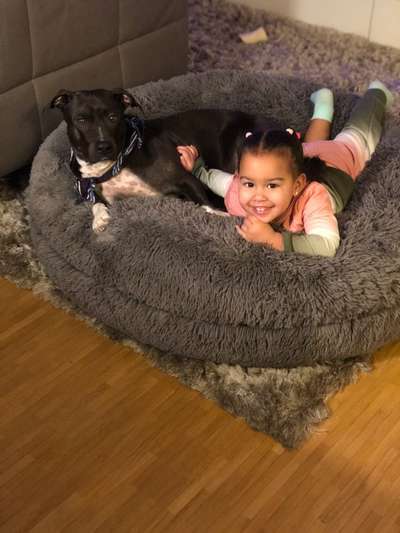 Erfahrung mit Wolkenbett-Beitrag-Bild