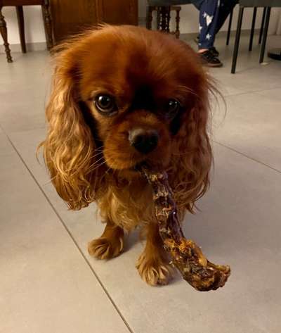 Fotochallenge No. 5-Beitrag-Bild