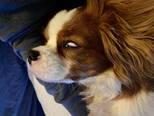 Fotochallange Nr. 6 Die irrsten Blicke-Beitrag-Bild