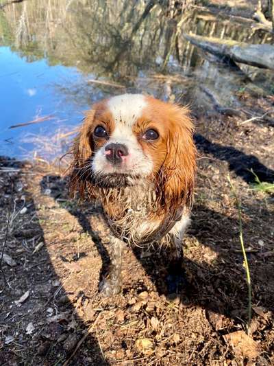 Fotochallenge No. 5-Beitrag-Bild