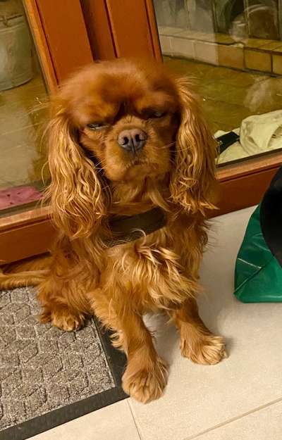 Fotochallange Nr. 6 Die irrsten Blicke-Beitrag-Bild