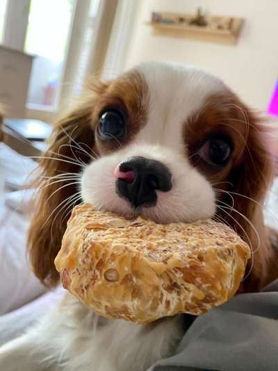 Foto Challenge 3-Beitrag-Bild