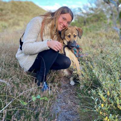 Hundetreffen-Suchen Gassi- und Spielpartner 🐾