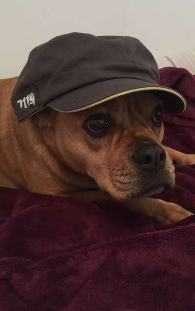 Hier ist der Spaßthread. Zum Schmunzeln und Kaputtlachen-Beitrag-Bild