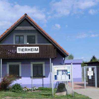 Tierheime-Tierheim Selb-Bild