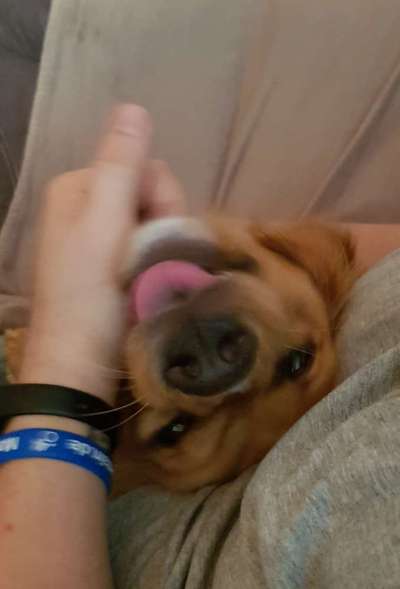 Handy-Foto Challange Nr. 10-Beitrag-Bild