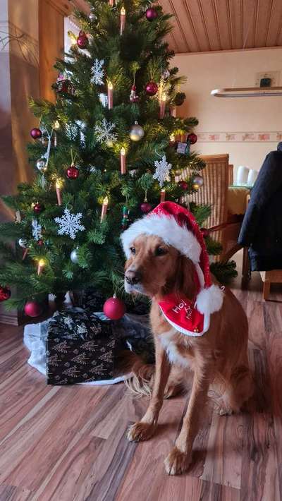 8. Collagen Challenge - Feste/Feierlichkeiten-Beitrag-Bild