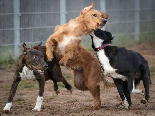 Handy-Foto-Challange Nr. 8-Beitrag-Bild