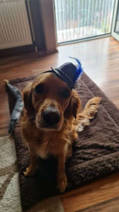 8. Collagen Challenge - Feste/Feierlichkeiten-Beitrag-Bild