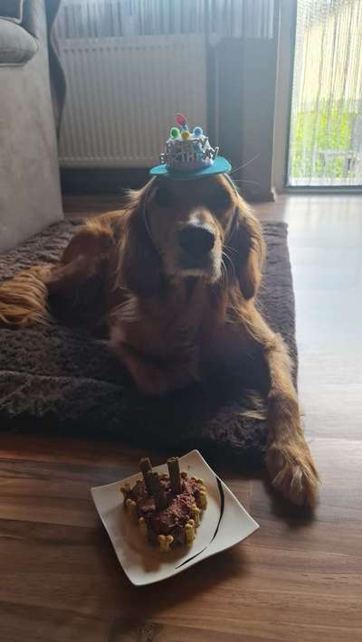 8. Collagen Challenge - Feste/Feierlichkeiten-Beitrag-Bild