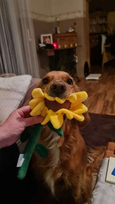 15. Handyfoto Challenge - Indoor Aktivitäten-Beitrag-Bild