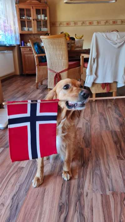 19. Handy - Foto - Challenge-Beitrag-Bild