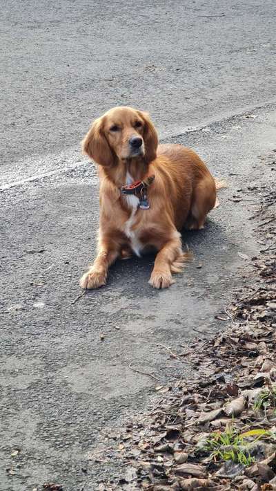 Doppelgänger gesucht !-Beitrag-Bild