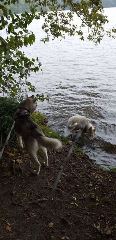 Foto Challenge - BEENDET - bitte aktuelle Challenge nutzen-Beitrag-Bild