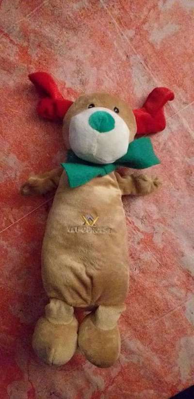 Reico vital - Erfahrungen, Meinungen, Berichte?-Beitrag-Bild