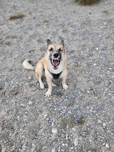 Her mit dem Grimassen-Beitrag-Bild